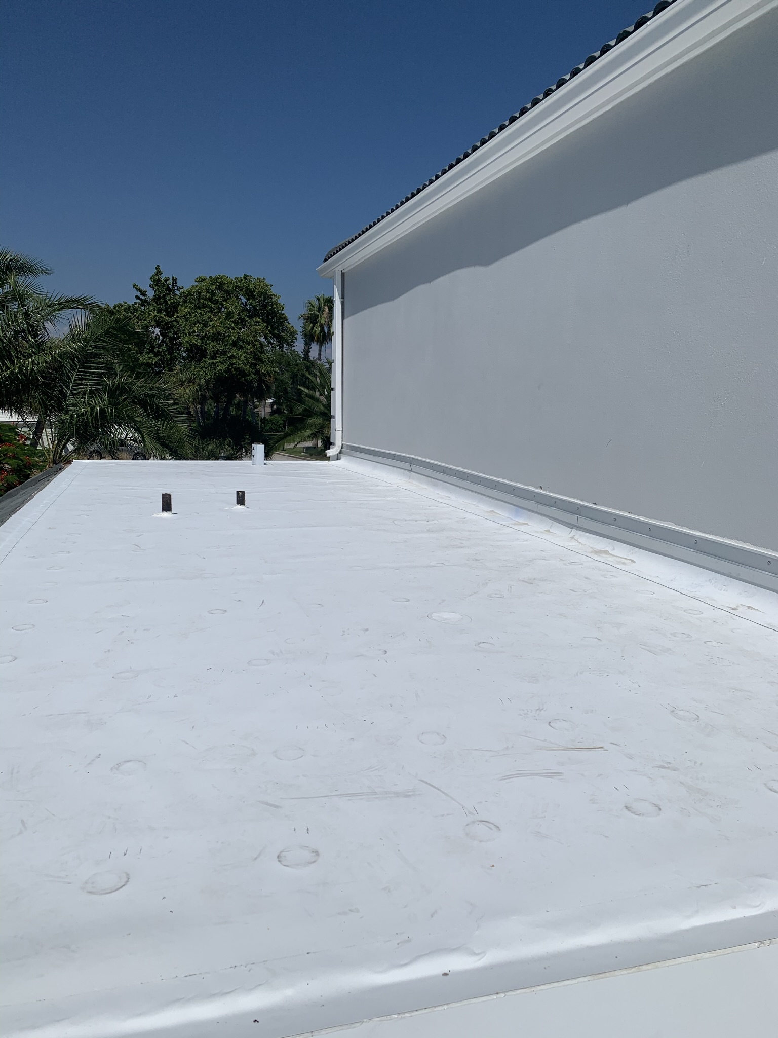 TPO roofing system